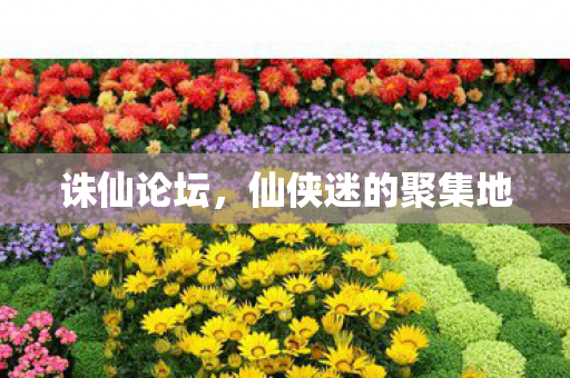 诛仙论坛，仙侠迷的聚集地