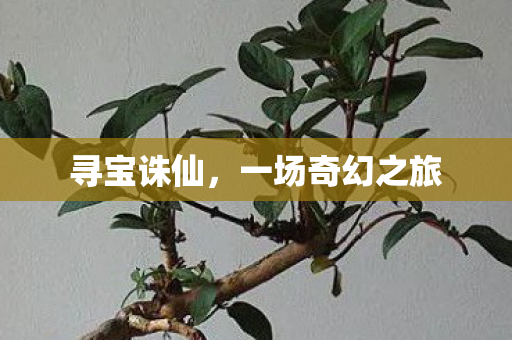 寻宝诛仙，一场奇幻之旅
