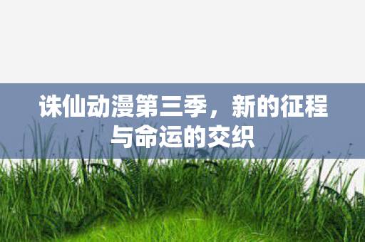 诛仙动漫第三季，新的征程与命运的交织