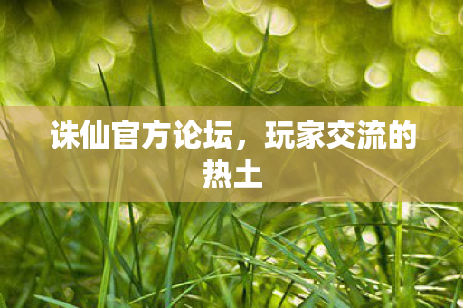 诛仙官方论坛，玩家交流的热土