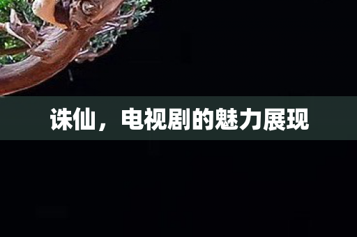 诛仙，电视剧的魅力展现