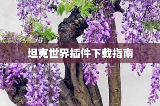坦克世界插件下载指南