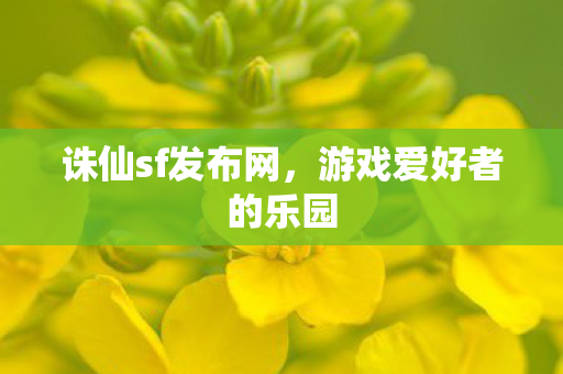 诛仙sf发布网，游戏爱好者的乐园