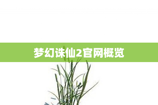 梦幻诛仙2官网概览