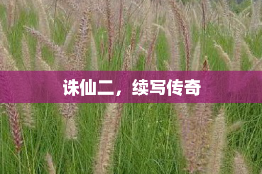 诛仙二，续写传奇
