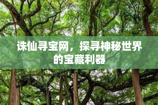 诛仙寻宝网，探寻神秘世界的宝藏利器