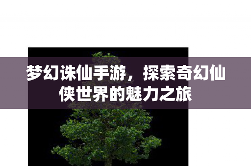 梦幻诛仙手游，探索奇幻仙侠世界的魅力之旅