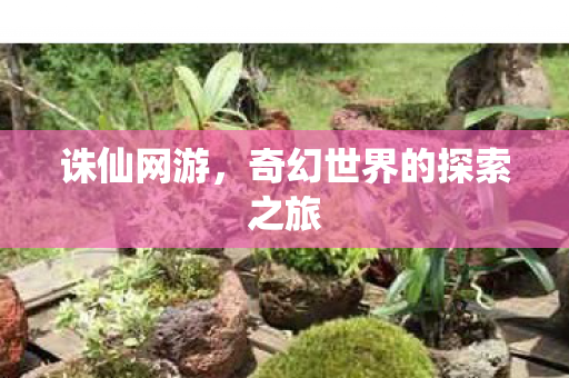 诛仙网游，奇幻世界的探索之旅