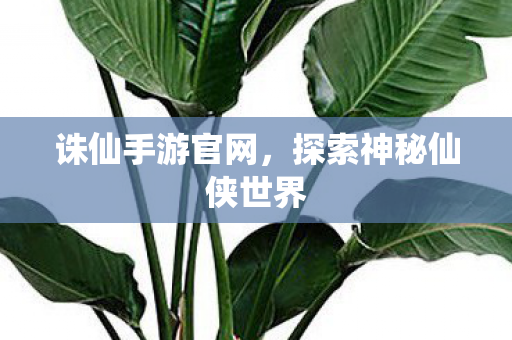 诛仙手游官网，探索神秘仙侠世界