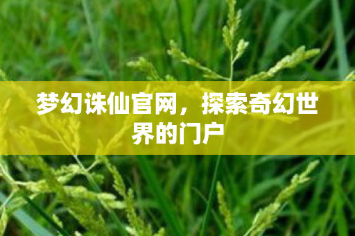 梦幻诛仙官网，探索奇幻世界的门户