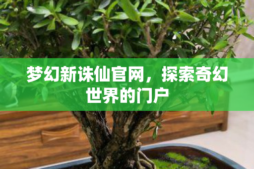 梦幻新诛仙官网，探索奇幻世界的门户