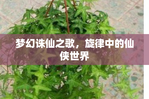 梦幻诛仙之歌，旋律中的仙侠世界