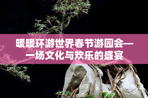 暖暖环游世界春节游园会—一场文化与欢乐的盛宴