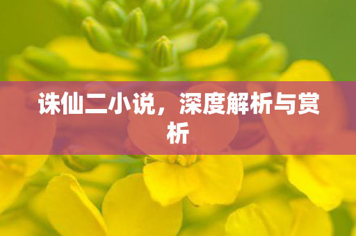 诛仙二小说，深度解析与赏析