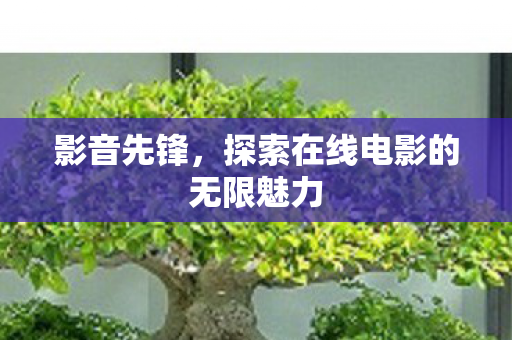 影音先锋，探索在线电影的无限魅力