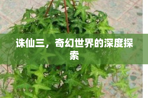 诛仙三，奇幻世界的深度探索