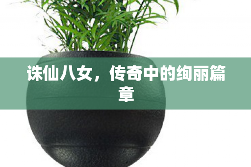 诛仙八女,传奇中的绚丽篇章 诛仙八女,传奇中的绚丽篇章