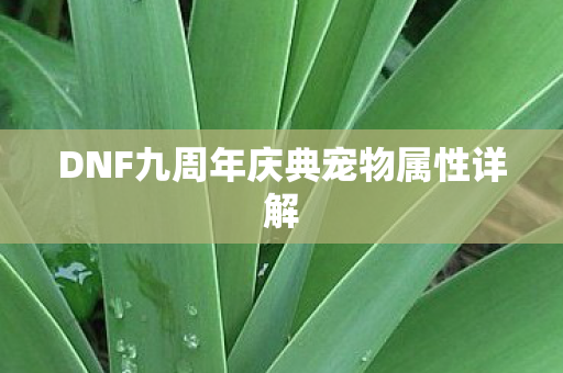 DNF九周年庆典宠物属性详解