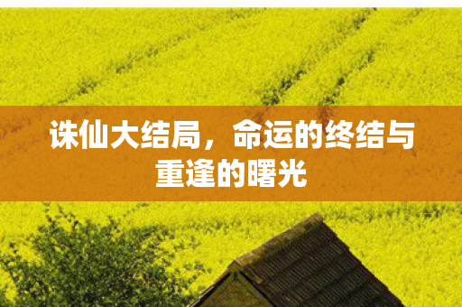 诛仙大结局，命运的终结与重逢的曙光