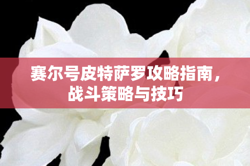 赛尔号皮特萨罗攻略指南，战斗策略与技巧