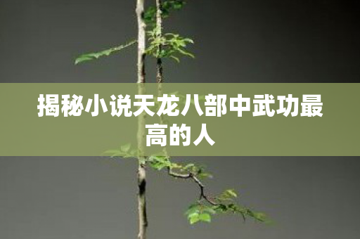 揭秘小说天龙八部中武功最高的人