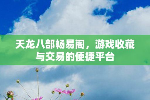 天龙八部畅易阁，游戏收藏与交易的便捷平台