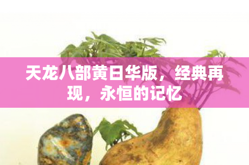 天龙八部黄日华版，经典再现，永恒的记忆