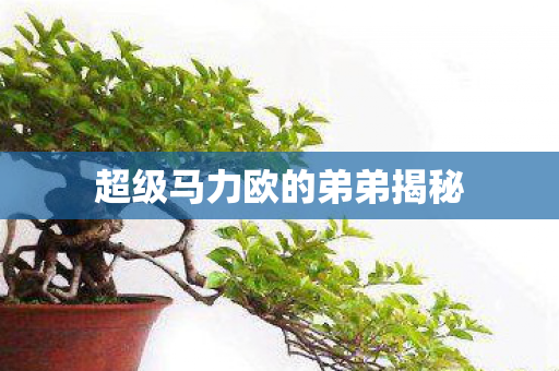 超级马力欧的弟弟揭秘
