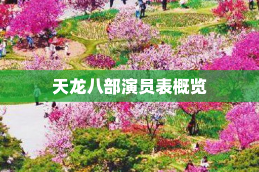 天龙八部演员表概览