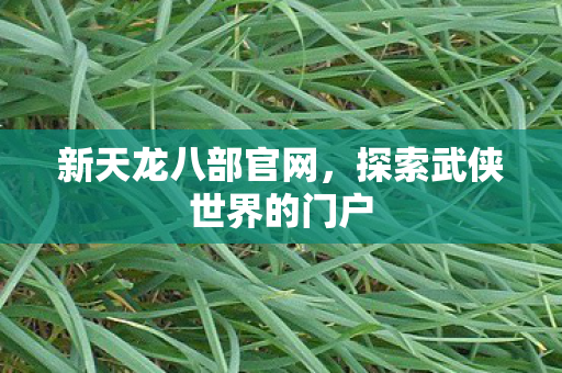 新天龙八部官网,探索武侠世界的门户 新天龙八部官网,探索武侠世界的门户