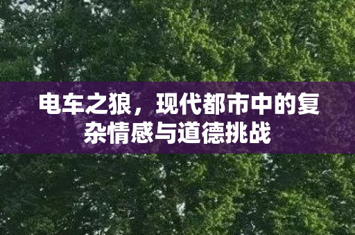 电车之狼，现代都市中的复杂情感与道德挑战