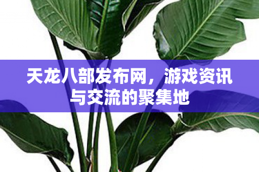 天龙八部发布网,游戏资讯与交流的聚集地 天龙八部发布网,游戏资讯与交流的聚集地