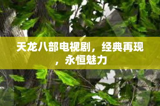 天龙八部电视剧，经典再现，永恒魅力