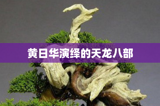 黄日华演绎的天龙八部 黄日华演绎的天龙八部