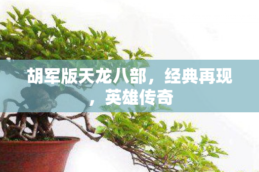 胡军版天龙八部,经典再现,英雄传奇 胡军版天龙八部,经典再现,英雄传奇