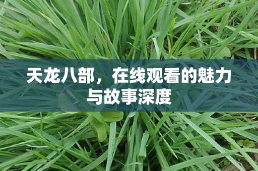 天龙八部,在线观看的魅力与故事深度 天龙八部,在线观看的魅力与故事深度