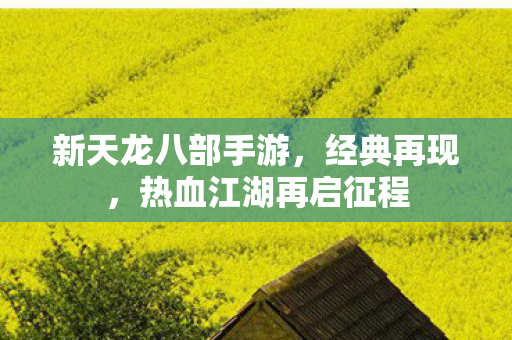 新天龙八部手游，经典再现，热血江湖再启征程