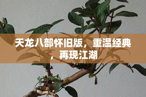 天龙八部怀旧版，重温经典，再现江湖