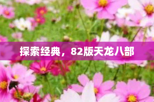 探索经典，82版天龙八部