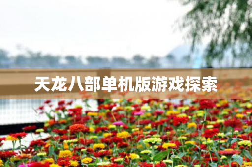 天龙八部单机版游戏探索 天龙八部单机版游戏探索