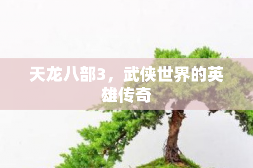 天龙八部3，武侠世界的英雄传奇
