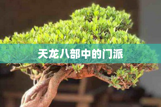 天龙八部中的门派