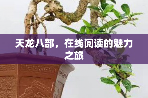 天龙八部,在线阅读的魅力之旅 天龙八部,在线阅读的魅力之旅