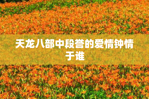 天龙八部中段誉的爱情钟情于谁 天龙八部中段誉的爱情钟情于谁