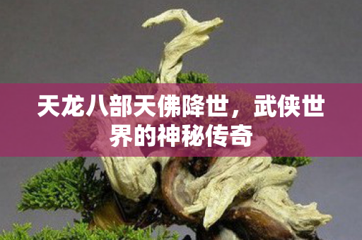 天龙八部天佛降世,武侠世界的神秘传奇 天龙八部天佛降世,武侠世界的神秘传奇