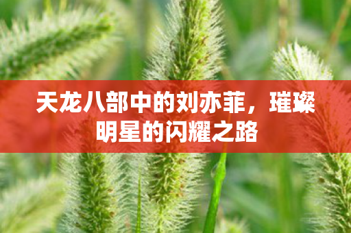 天龙八部中的刘亦菲，璀璨明星的闪耀之路