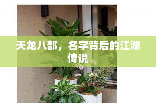 天龙八部，名字背后的江湖传说