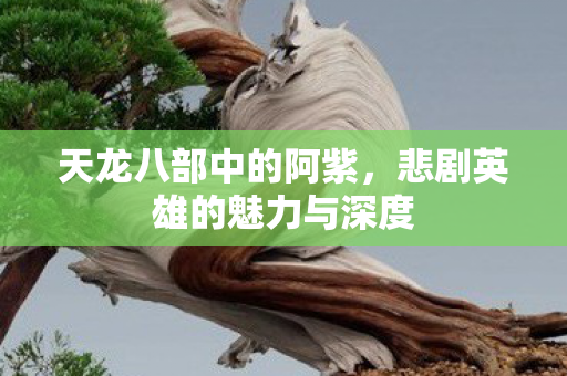 天龙八部中的阿紫，悲剧英雄的魅力与深度