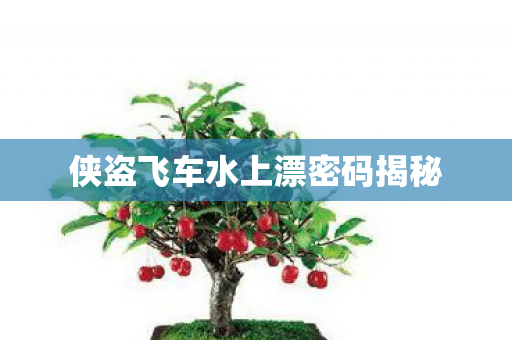 侠盗飞车水上漂密码揭秘