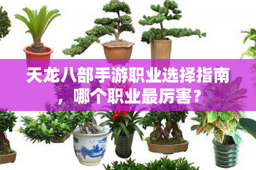 天龙八部手游职业选择指南，哪个职业最厉害？